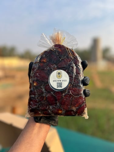ضميد شقراء شعبي