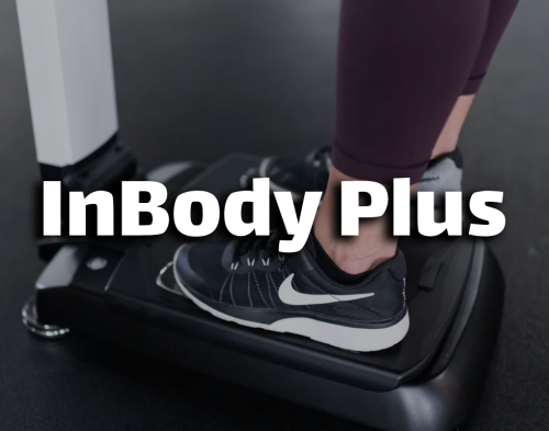 قياس InBody Plus