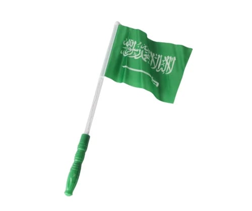 علم وطني مضيء