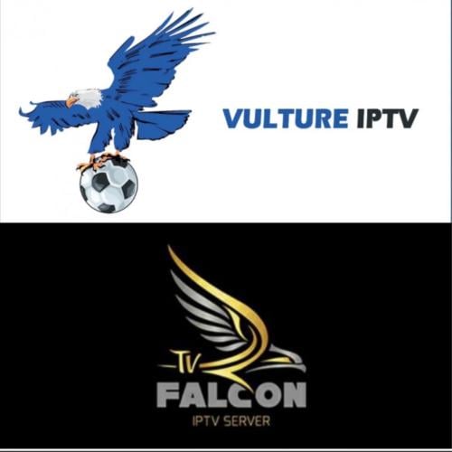 اشتراك فولتشر + فالكن