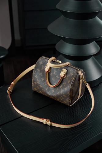 لوي فيتون Speedy 25