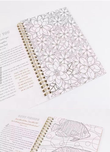 بكج - هدنة مع النفس ( كتاب مولود جديد + دفتر العلا...