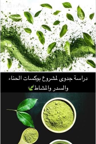 دراسة جدوى مشروع بيع الحنه والسدر