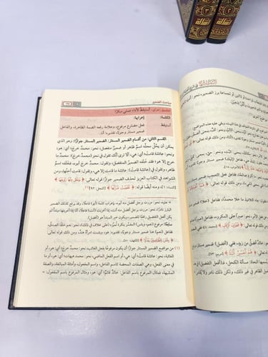 البديع في شرح الفية ابن مالك 3/1