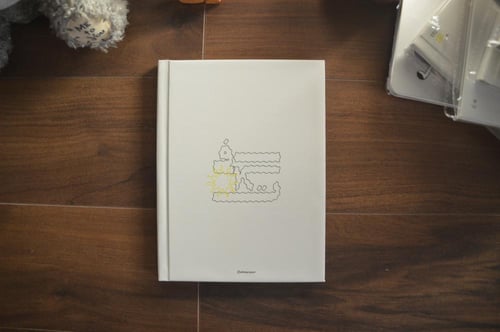 مذكرة إفلات