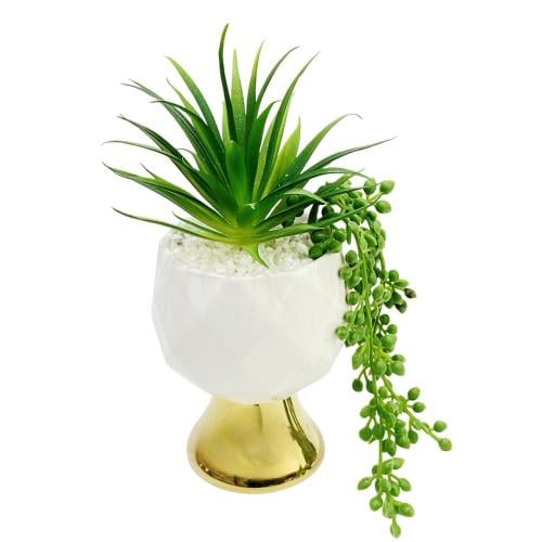 مركن نبة اليوكا بقاعدة ذهبية 24سم