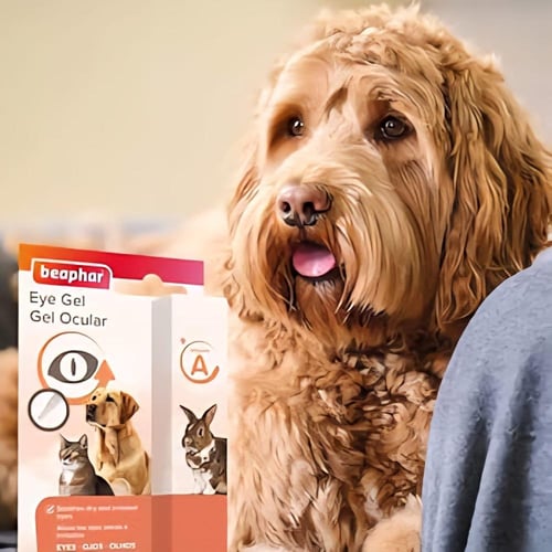 جل العين بيفار للعناية باعيون الحيوانات 5ml