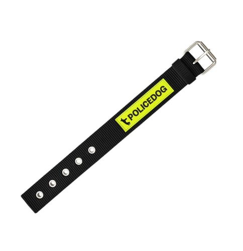 طوقً للكلاب