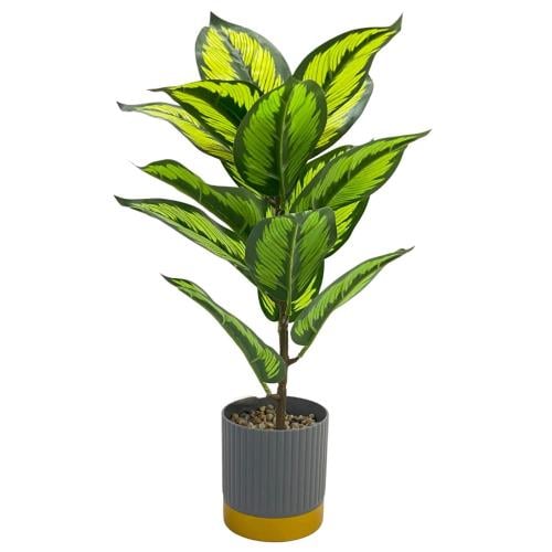 نبات الديفنباخيا الصناعية 40سم