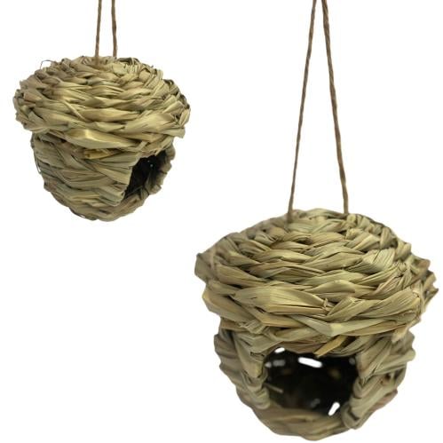 عش طيور خسف صغير (1230037)