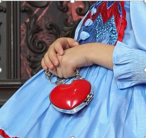 Elegant bag