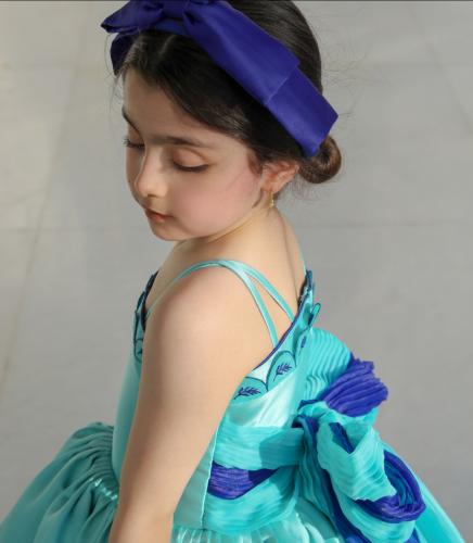Elegant blue collar