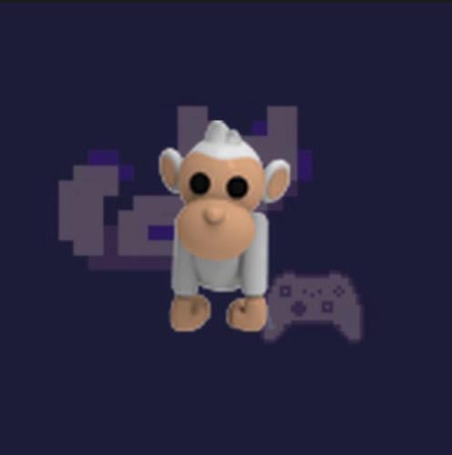 Albino Monkey