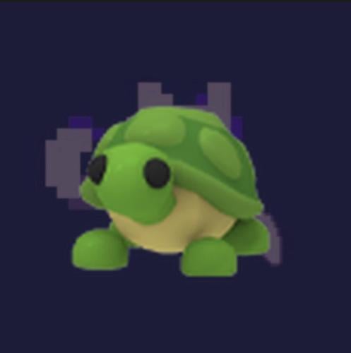 Turtle