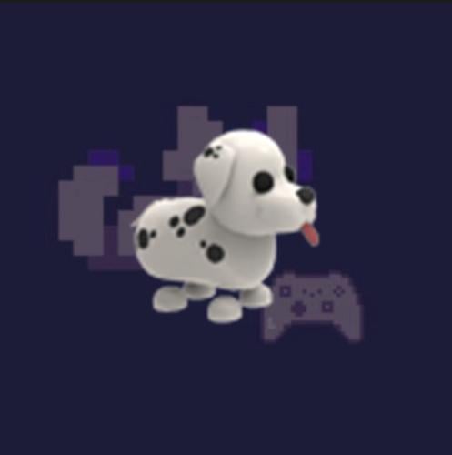 Dalmatian