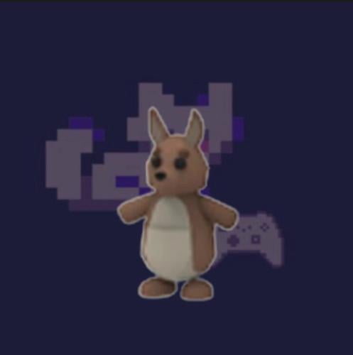 Kangaroo
