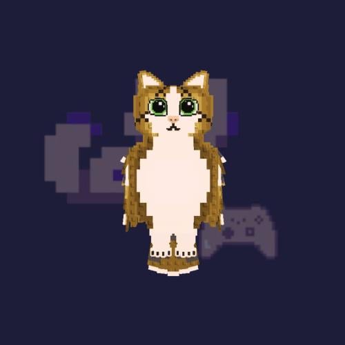 Meowl|ماب السرقة