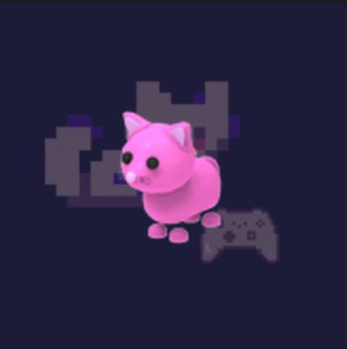 Pink cat