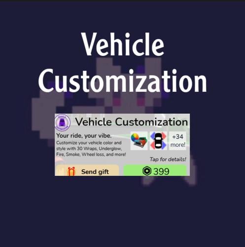 Vehicle Customization