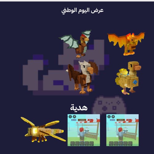 عرض رقم (1)