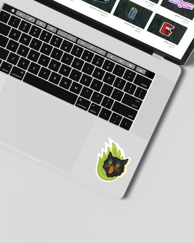 استكر | Noisy cat