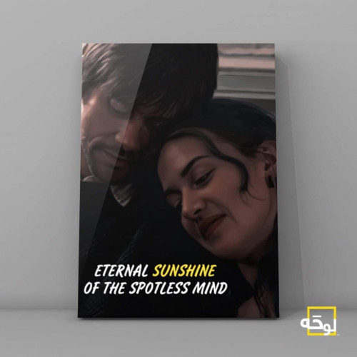 Eternal Sunshine of the spotless mind