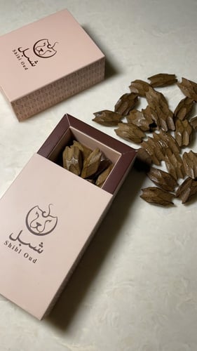 بكج ٣ أوقيات فراشة شبل