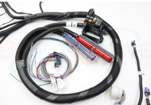 ظفيرة LS للسواب - STAND ALONE HARNESS