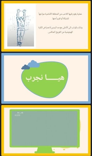 كرة الطائرة