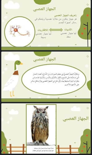 اجزاء جسم الحيوانات الصف الرابع