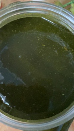 ماسك السدر العلاجي المعجونه يتكون من اعشاب الشيكاك...