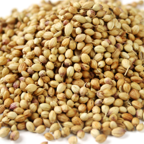 كزبرة درجة اولى هندي 250 جرام