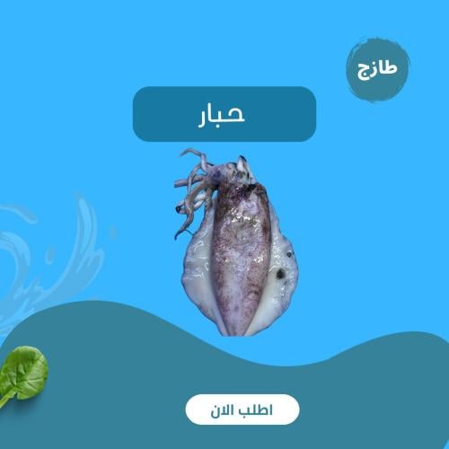 حبار