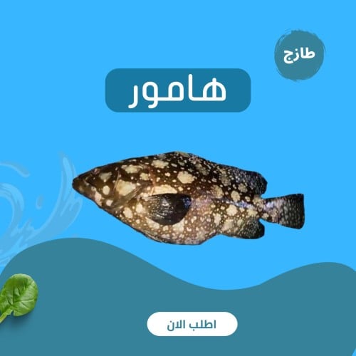 هامور