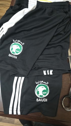 طقم مدربين المنتخب السعودي الجديد 2025