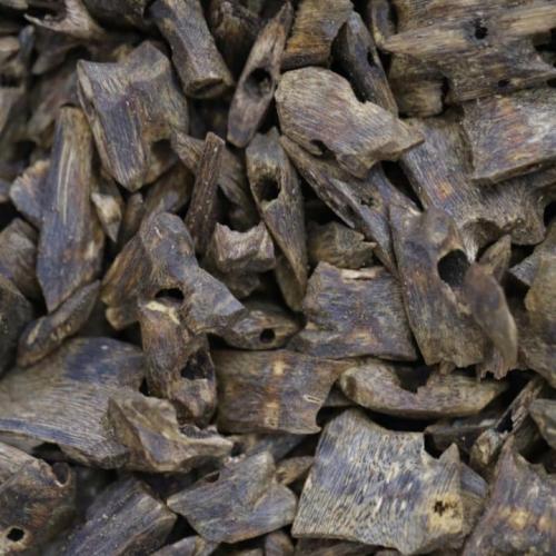 عود كينام سوبر