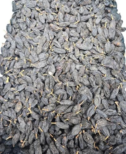 زبيب أسود يمني سعر الكيلو