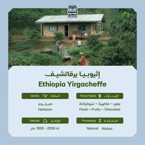 مجموعة الترحال