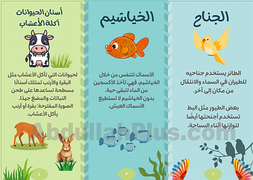 مطوية أجزاء جسم الحيوانات للابتدائي - بصيغة PDF