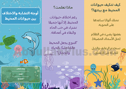 مطوية أوجه التشابه والاختلاف بين حيوانات المحيط -...