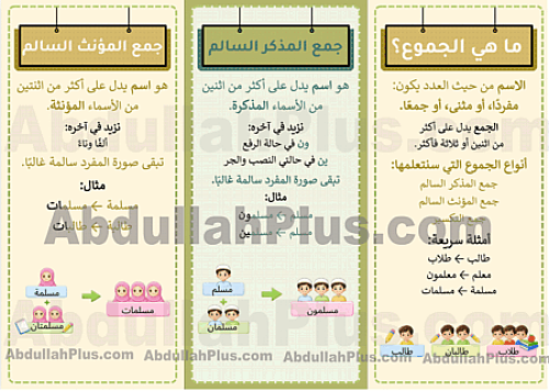 مطوية انواع الجموع - لغتي ب4 ف2 PDF