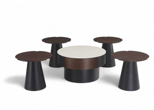 طقم طاولة قهوة فاخره