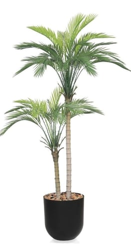 شجرة أريكا صناعية ( 155 سم ) حوض بلاستيك