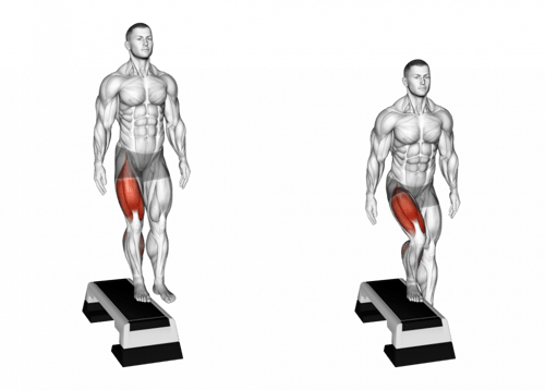 خطوة ( ستيب )