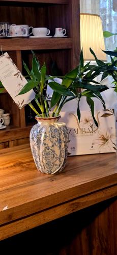 Large elegant glass vase with enchanting bamboo plant, gift card, greeting card, and elegant wrapping in a luxurious lily bag