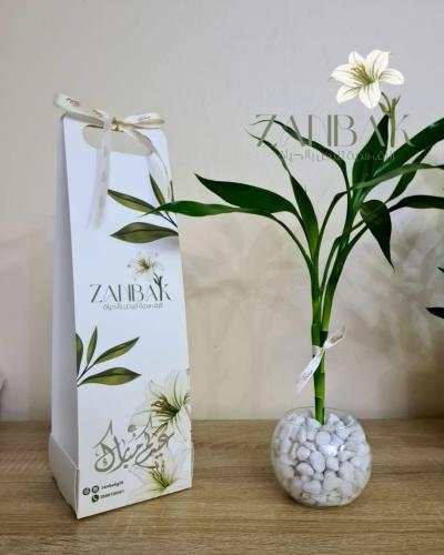Bamboo plant in a glass container in the center with a gift holder. Happy Eid