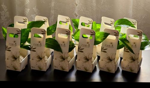 Package of 12 mini bottles with small size, with n...