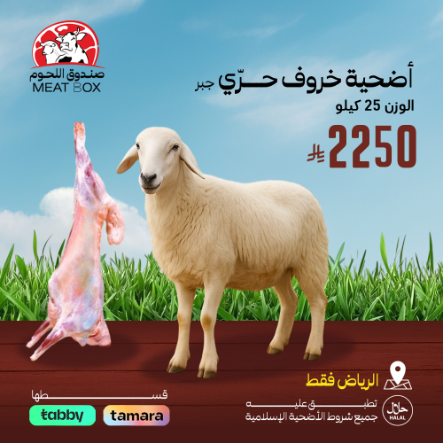 أضحية خروف حري جبر 25 كيلو