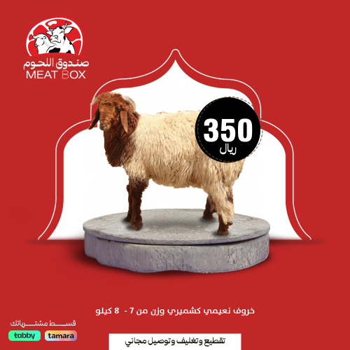 خروف نعيمي كشميري من ٧ - ٨ كيلو