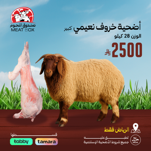 أضحية خروف نعيمي كبير 28 كيلو
